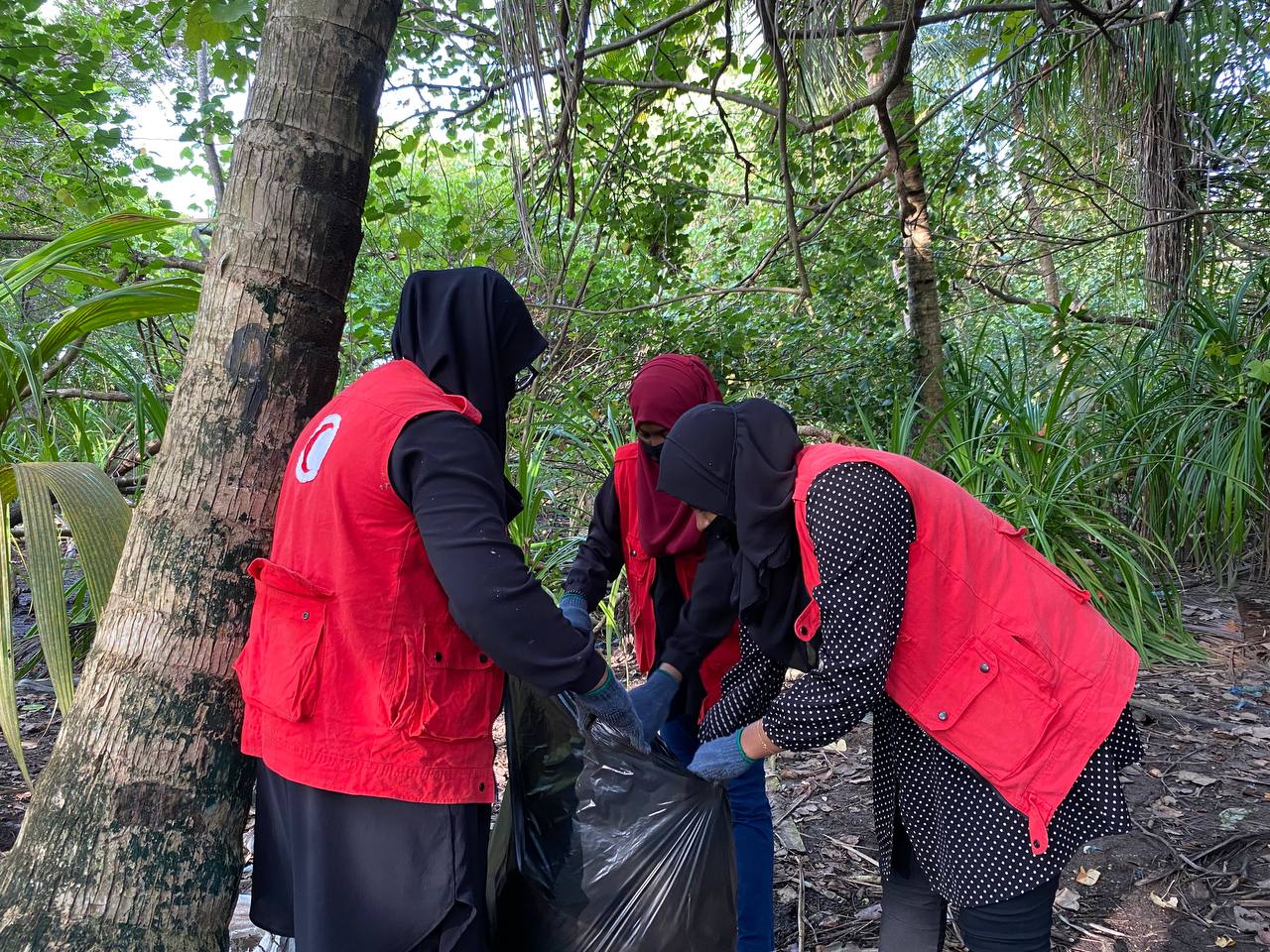 Volunteers in Kulhudhuffushi City during mangrove clean-up activities.