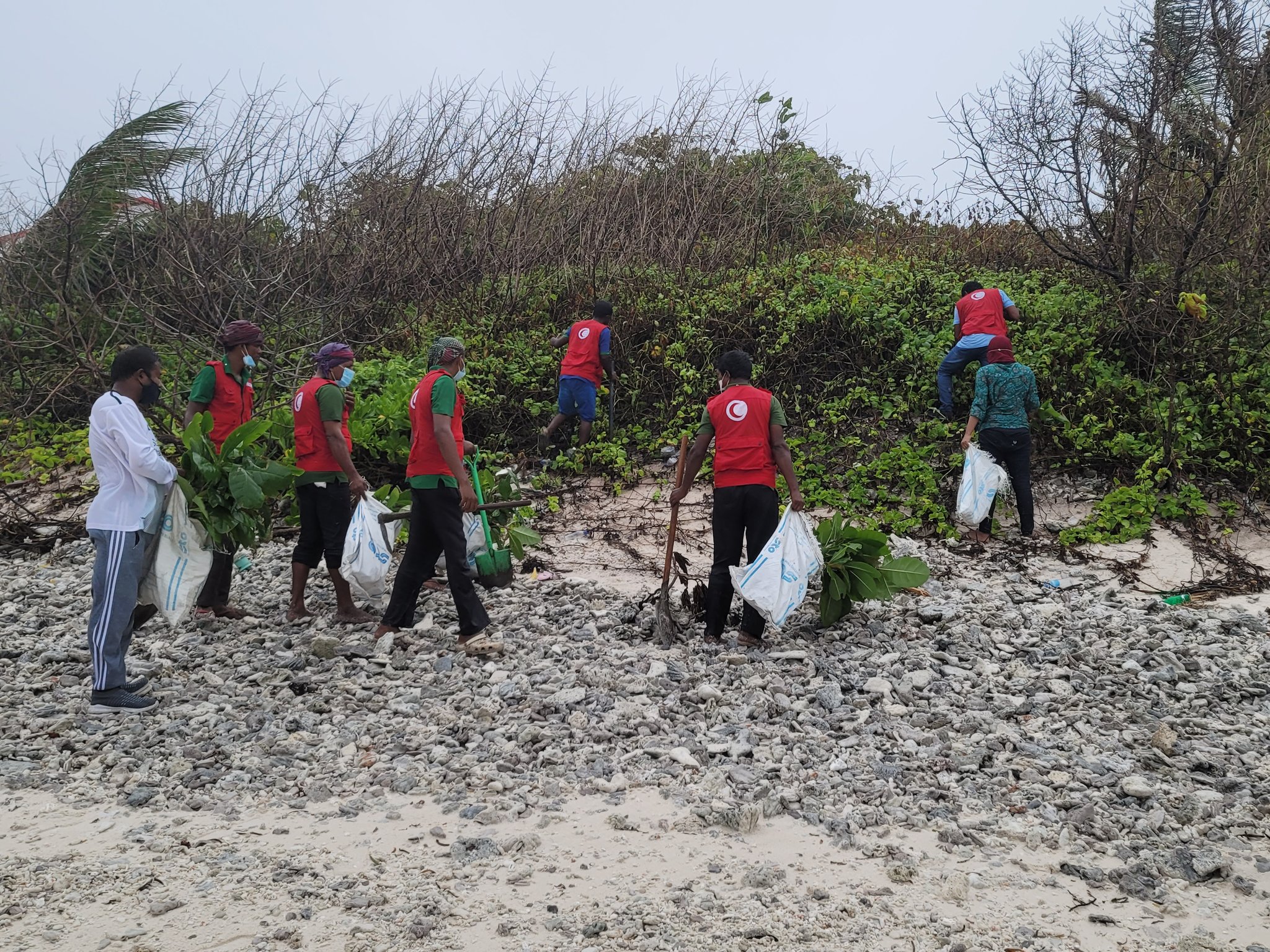 Tree planting activities being conducted in Addu City.