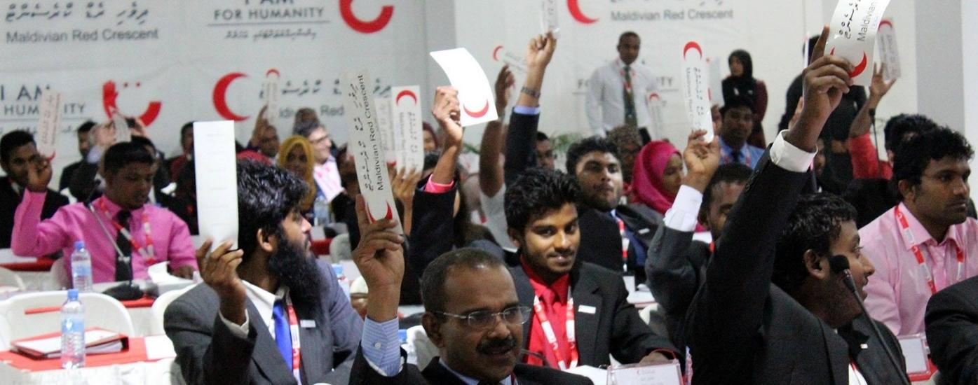 Intro image of article titled Our Governance