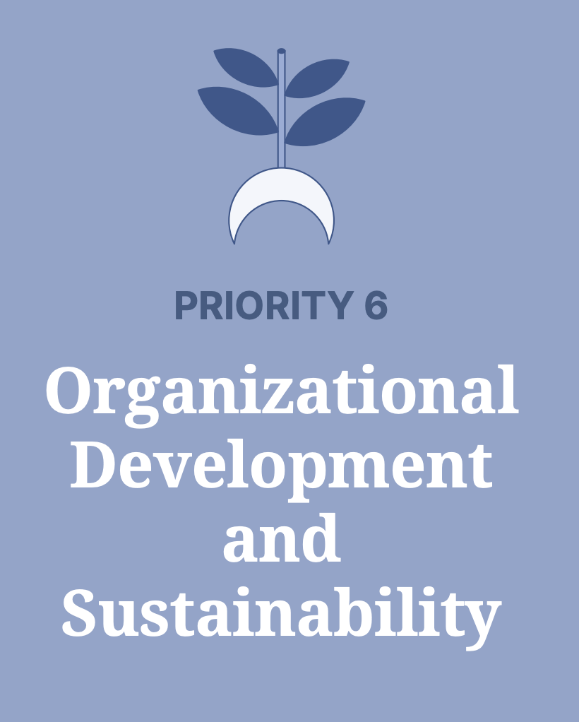 Priority 6 - Organizational Development and Sustainability
