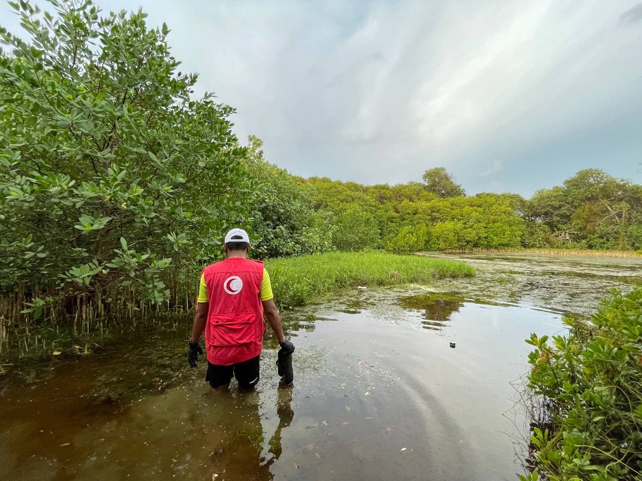 Restoring our Ecosystems – Looking Back on our Ecosystem Restoration Project on World Environment Day 2022